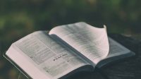 bible