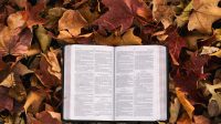 Bertekad di Tengah Proses: Menembus Lembah Menuju Puncak Kemuliaan